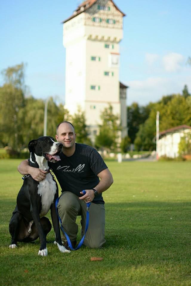 Umbraco.Web.PublishedModels.Image.AltText