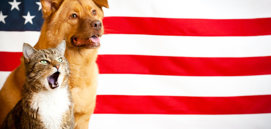Military Pet Shipping Services